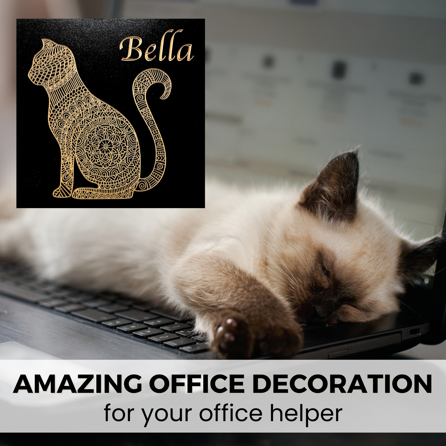 Custom Sign Cat Decor Mandala office decoration